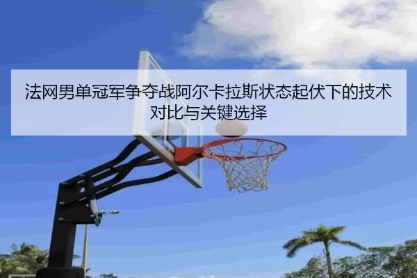 fa-wang-nan-dan-guan-jun-zheng-duo-zhan-a-er-ka-la-si-zhuang-tai-qi-fu-xia-de-ji-shu-dui-bi-yu-guan-jian-xuan-ze-2-146.jpg