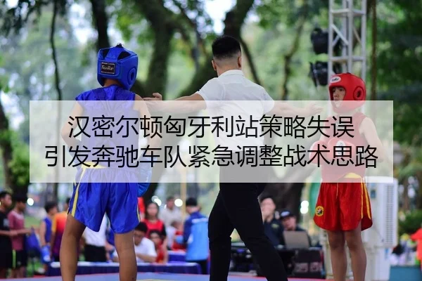 汉密尔顿匈牙利站策略失误 引发奔驰车队紧急调整战术思路